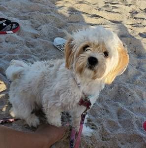 Meet your Posher, Vanessa